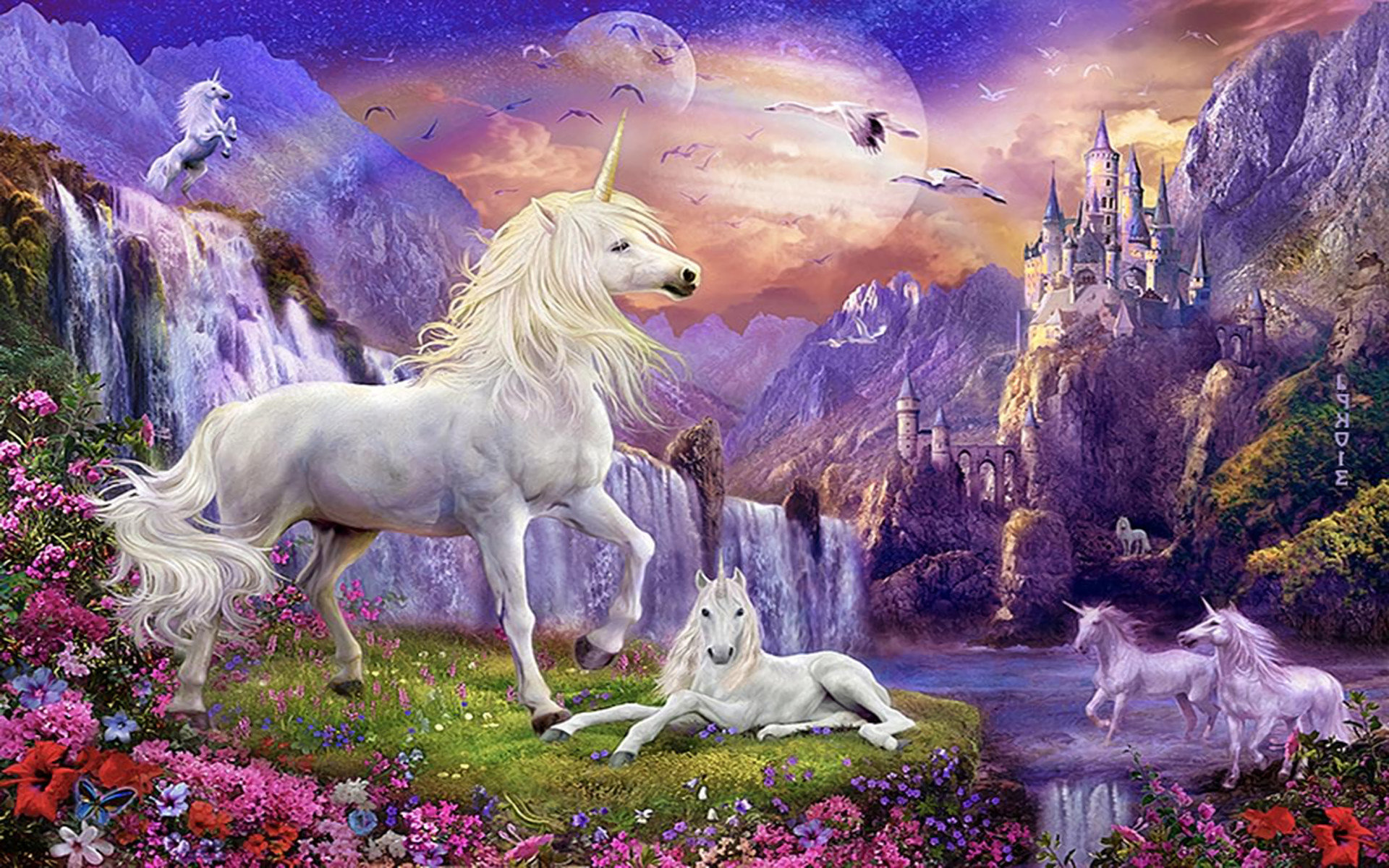 Unicorn Wallpaper Hd , HD Wallpaper & Backgrounds