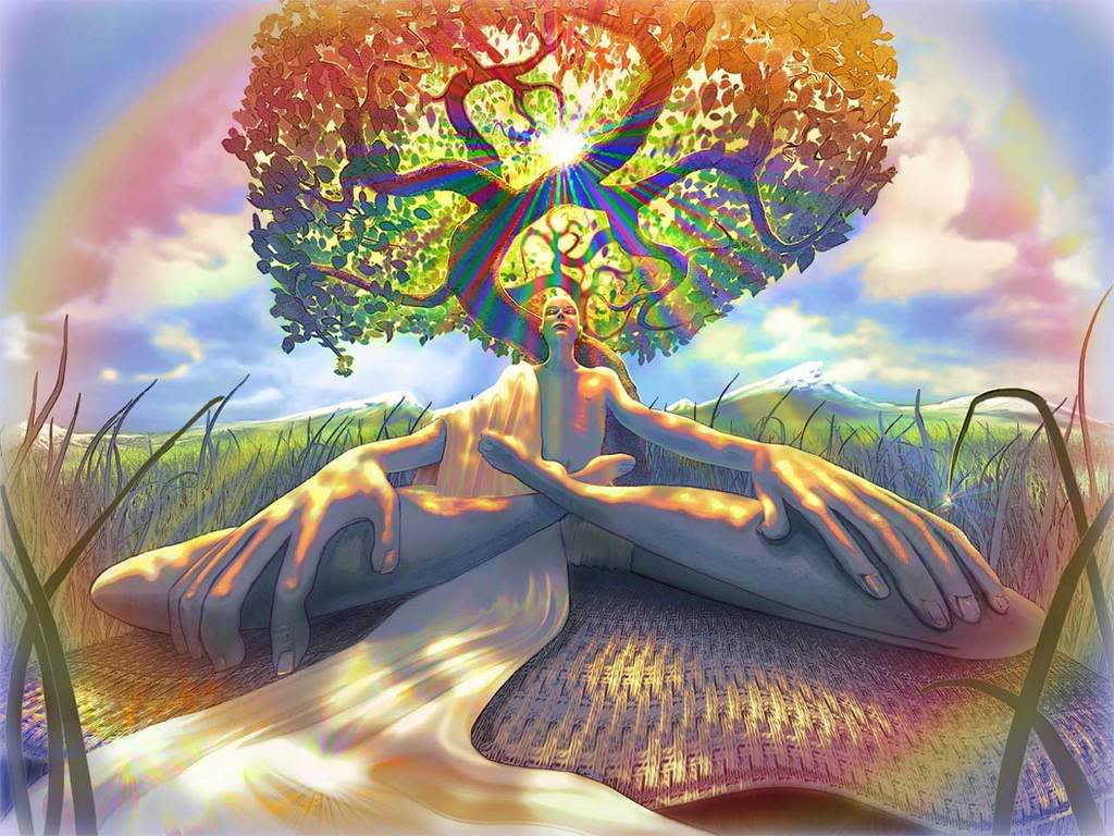 Tree Meditation , HD Wallpaper & Backgrounds
