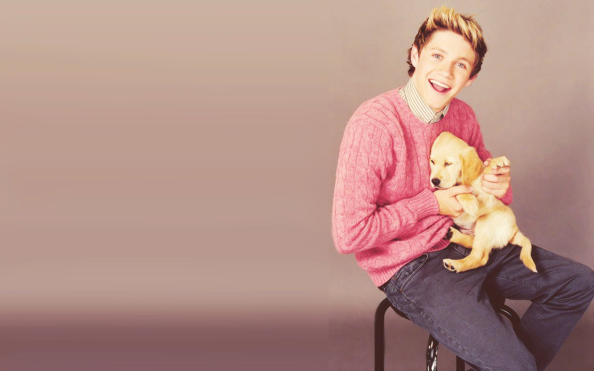 Louis Tomlinson With Puppies , HD Wallpaper & Backgrounds