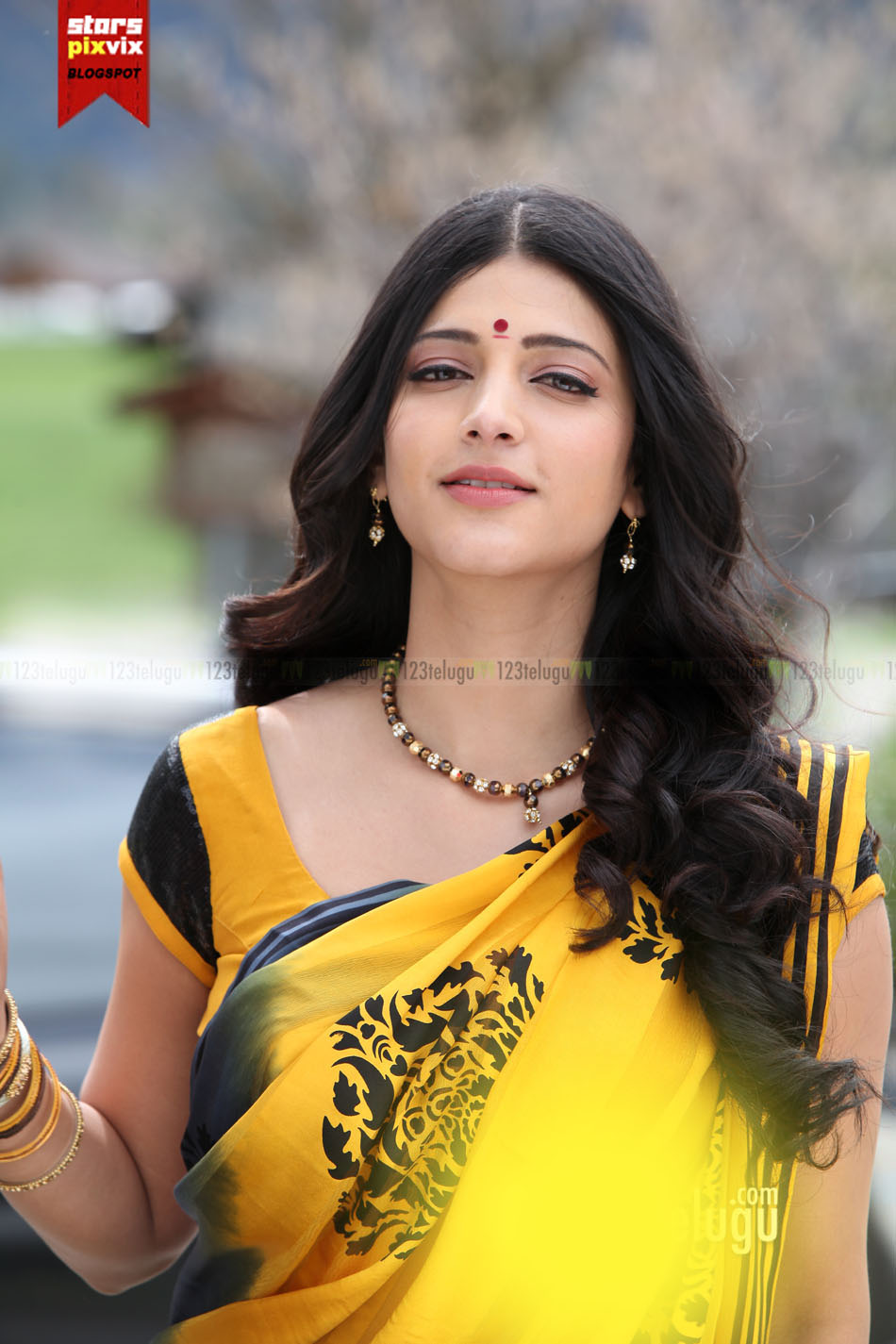 Shruti Hassan In Sarees , HD Wallpaper & Backgrounds