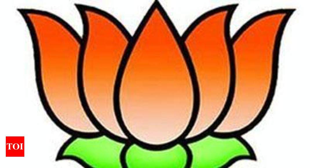 Transparent Background Bjp Logo , HD Wallpaper & Backgrounds