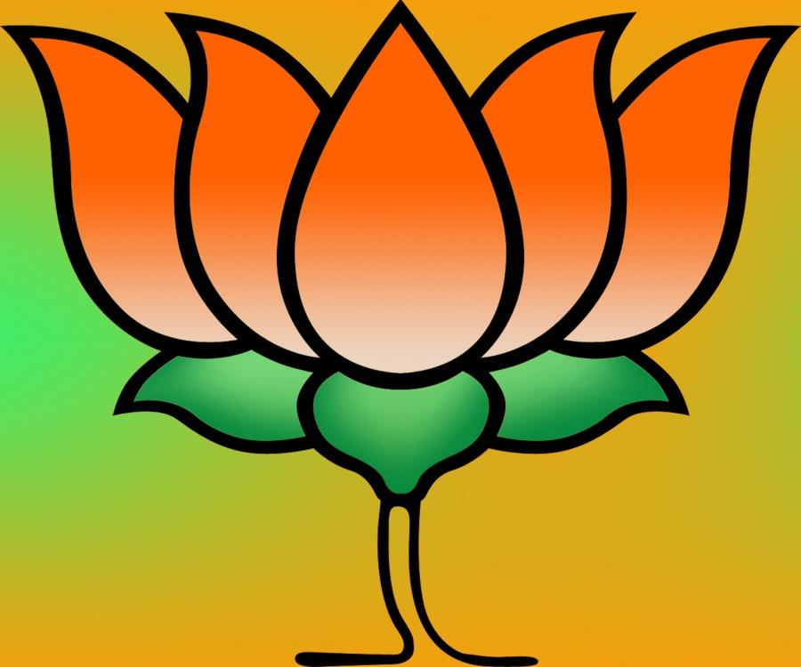 Bjp Hd Photo Download , HD Wallpaper & Backgrounds