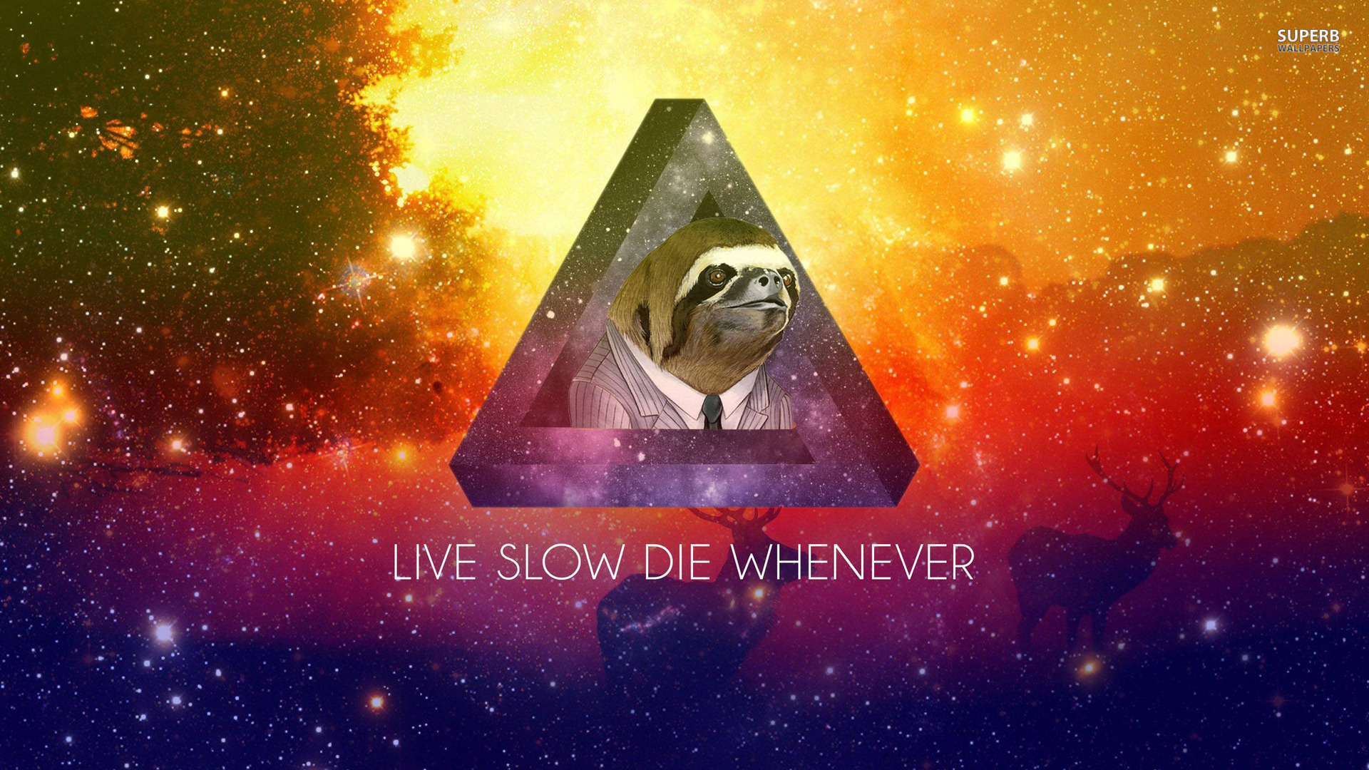 Sloth Hd , HD Wallpaper & Backgrounds
