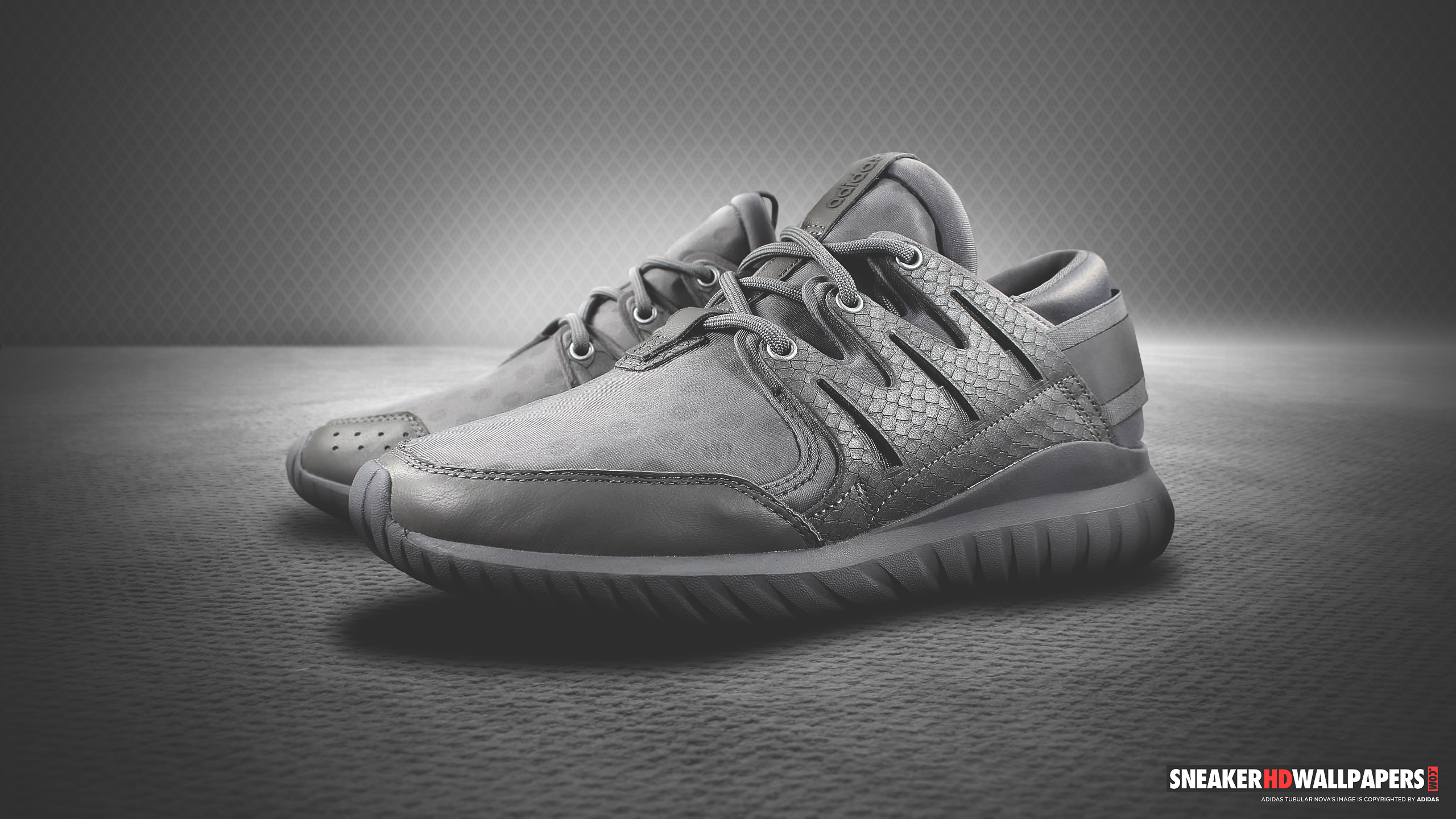 Adidas Tubular , HD Wallpaper & Backgrounds