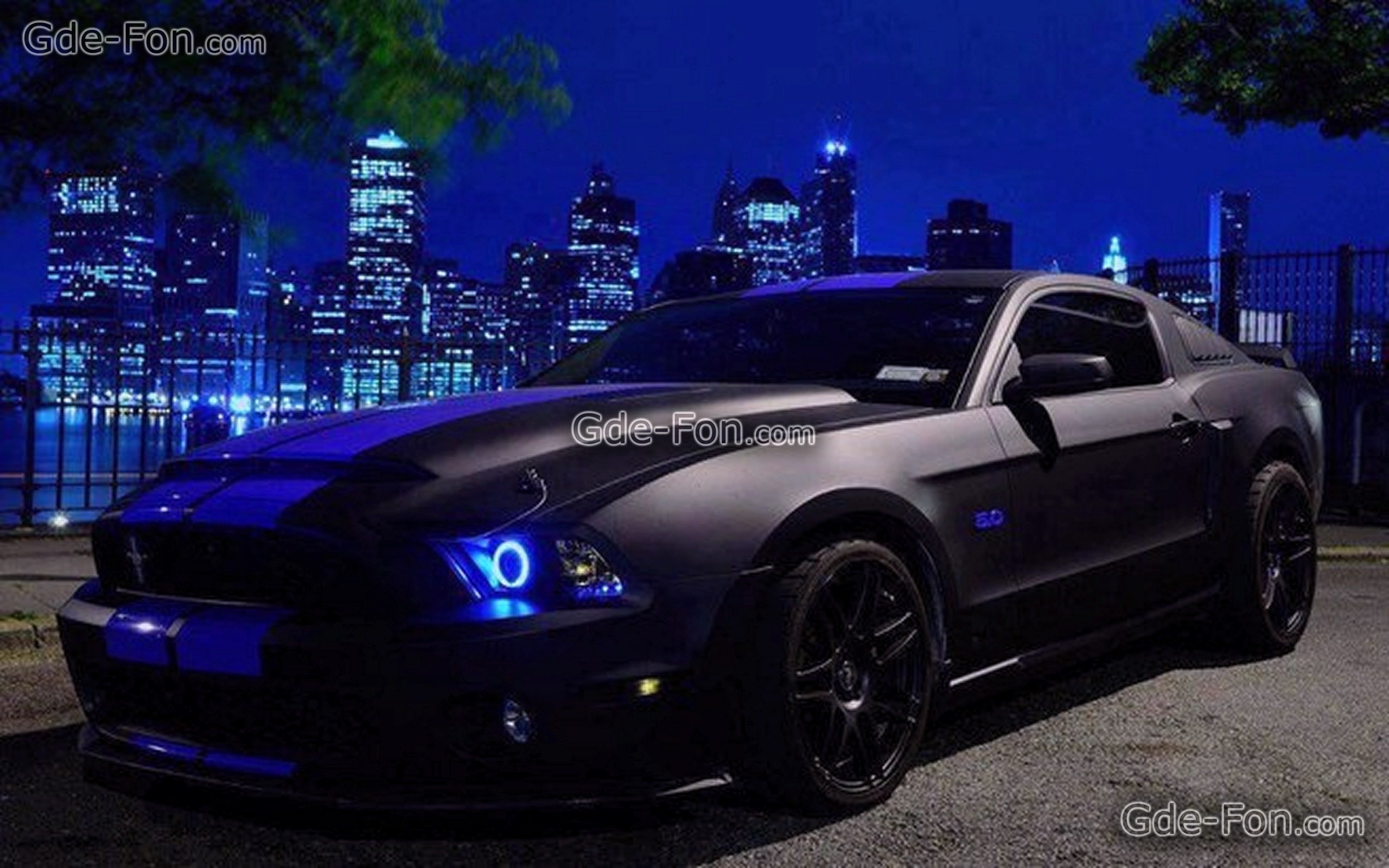 Matte Black Ford Mustang , HD Wallpaper & Backgrounds
