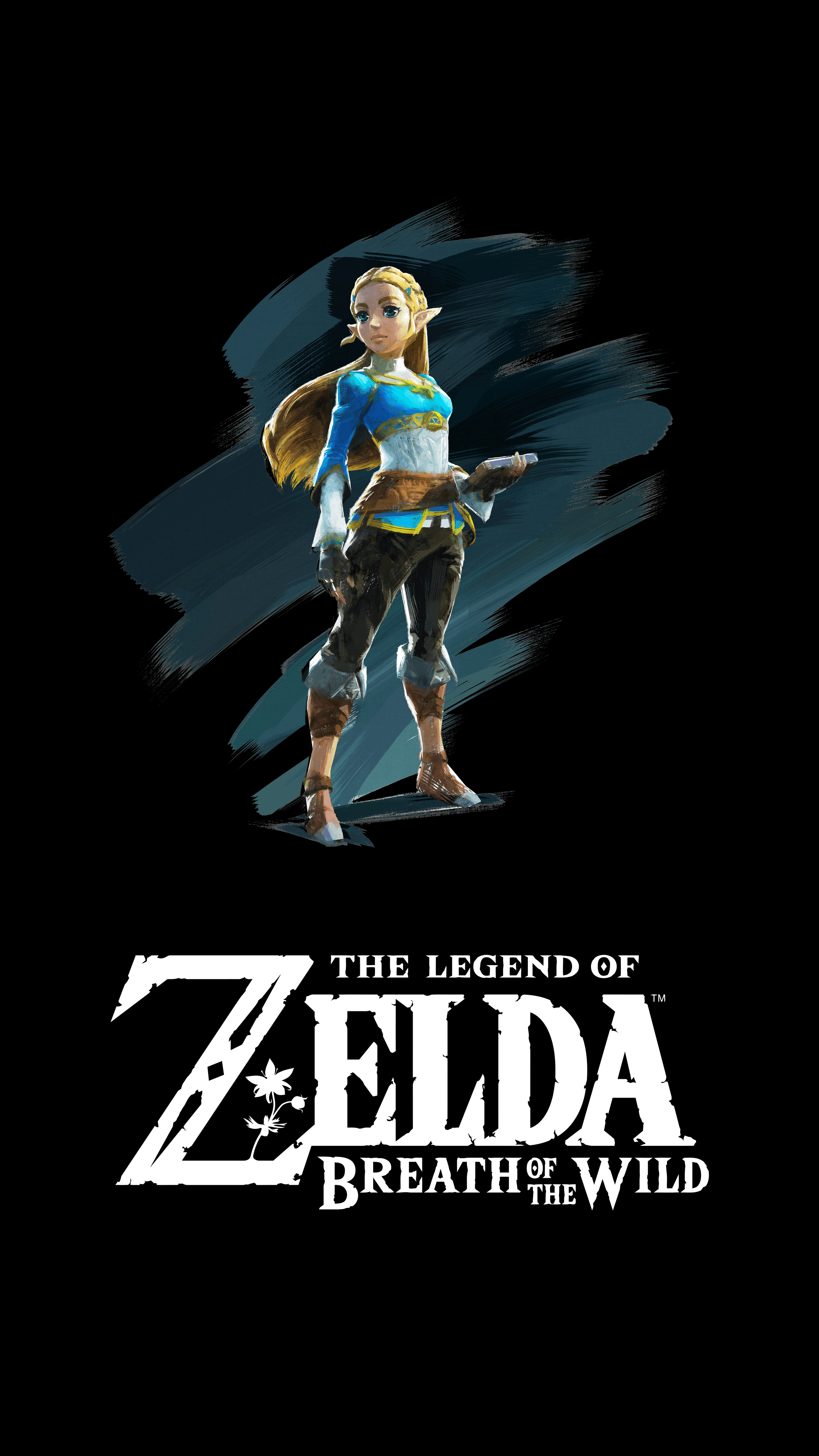 Legend Of Zelda Breath Of The Wild 2 , HD Wallpaper & Backgrounds