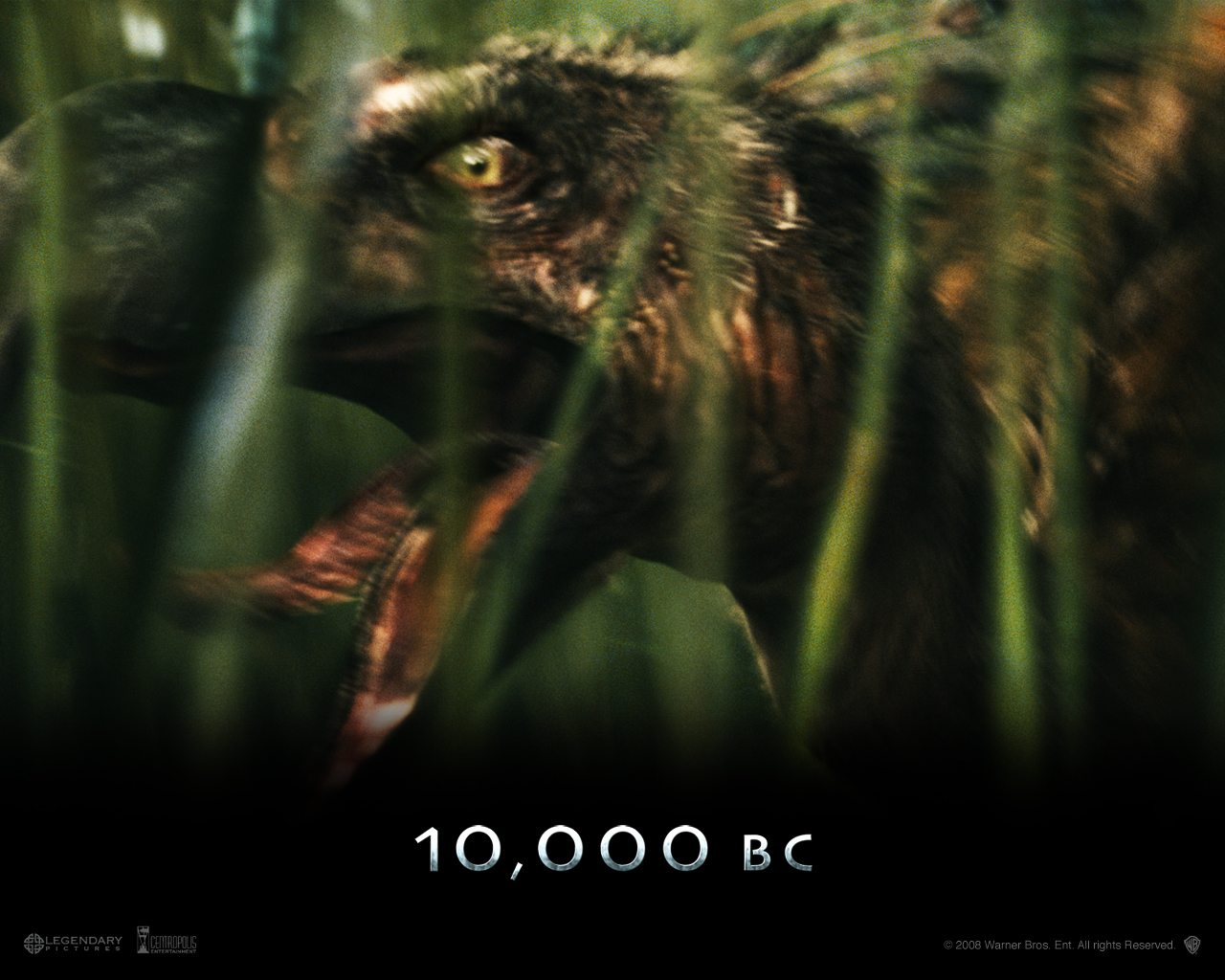 10000 Bc Movie Bird , HD Wallpaper & Backgrounds