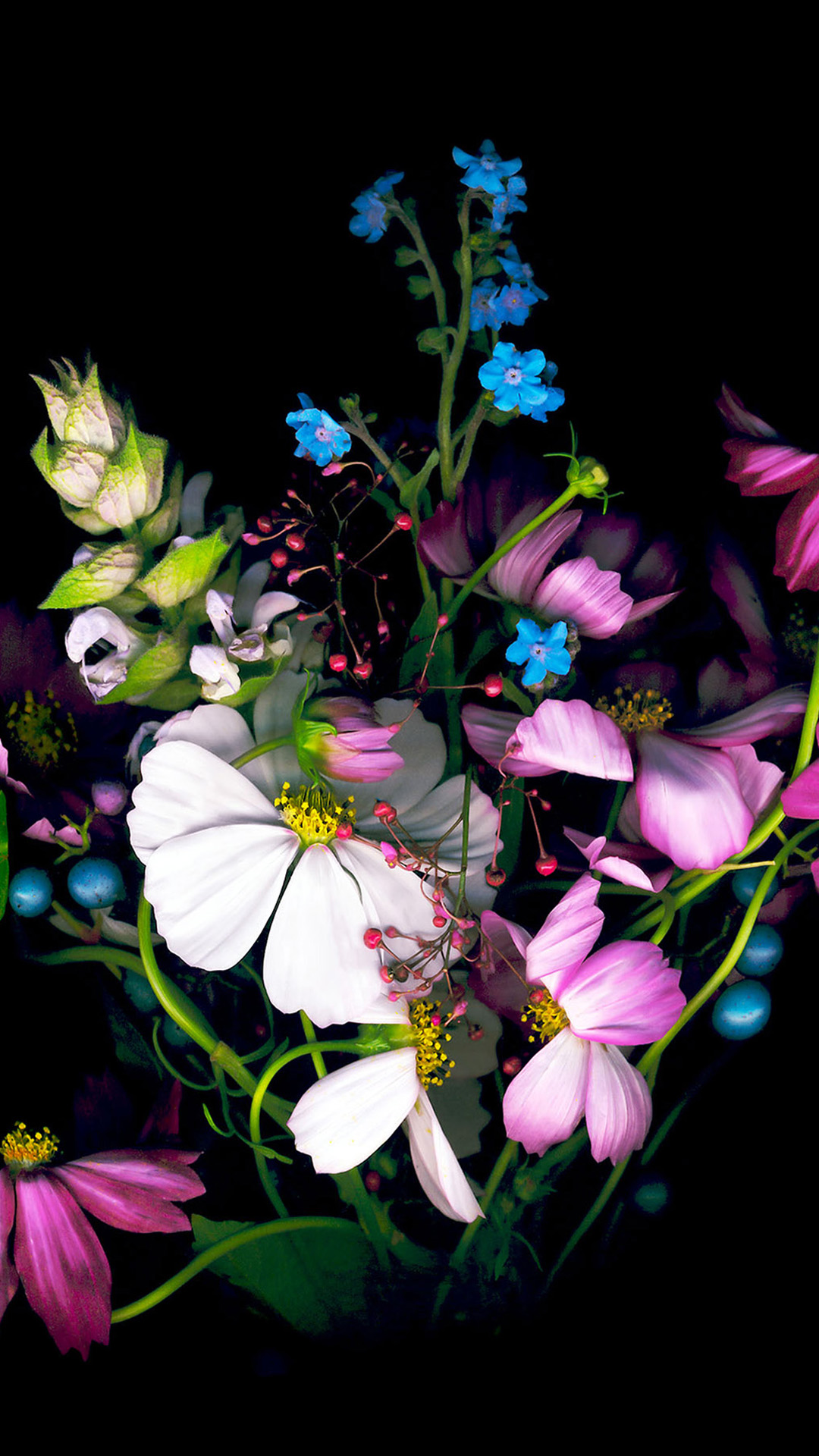 Iphone Xr Wallpaper Flowers , HD Wallpaper & Backgrounds