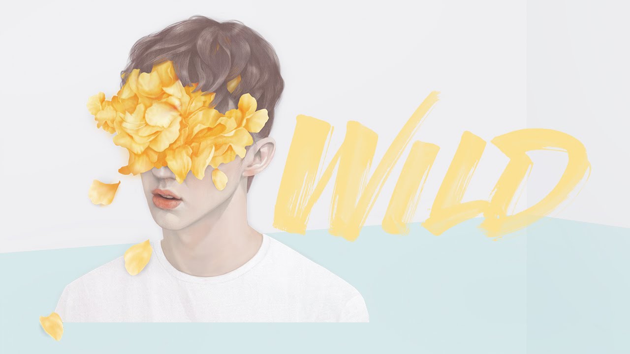 Troye Sivan Wild , HD Wallpaper & Backgrounds