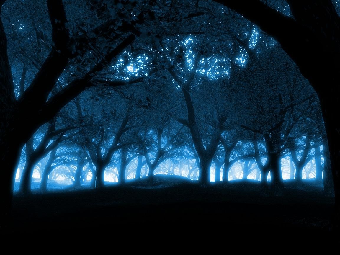 Blue Light In Forest , HD Wallpaper & Backgrounds