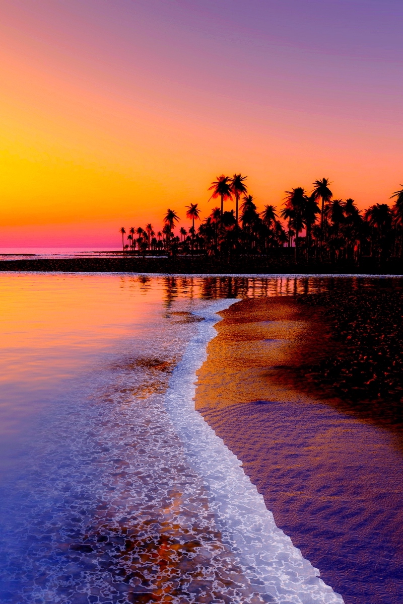 Wallpaper Beach, Tropics, Sea, Sand, Palm Trees, Sunset - Sunset Beach