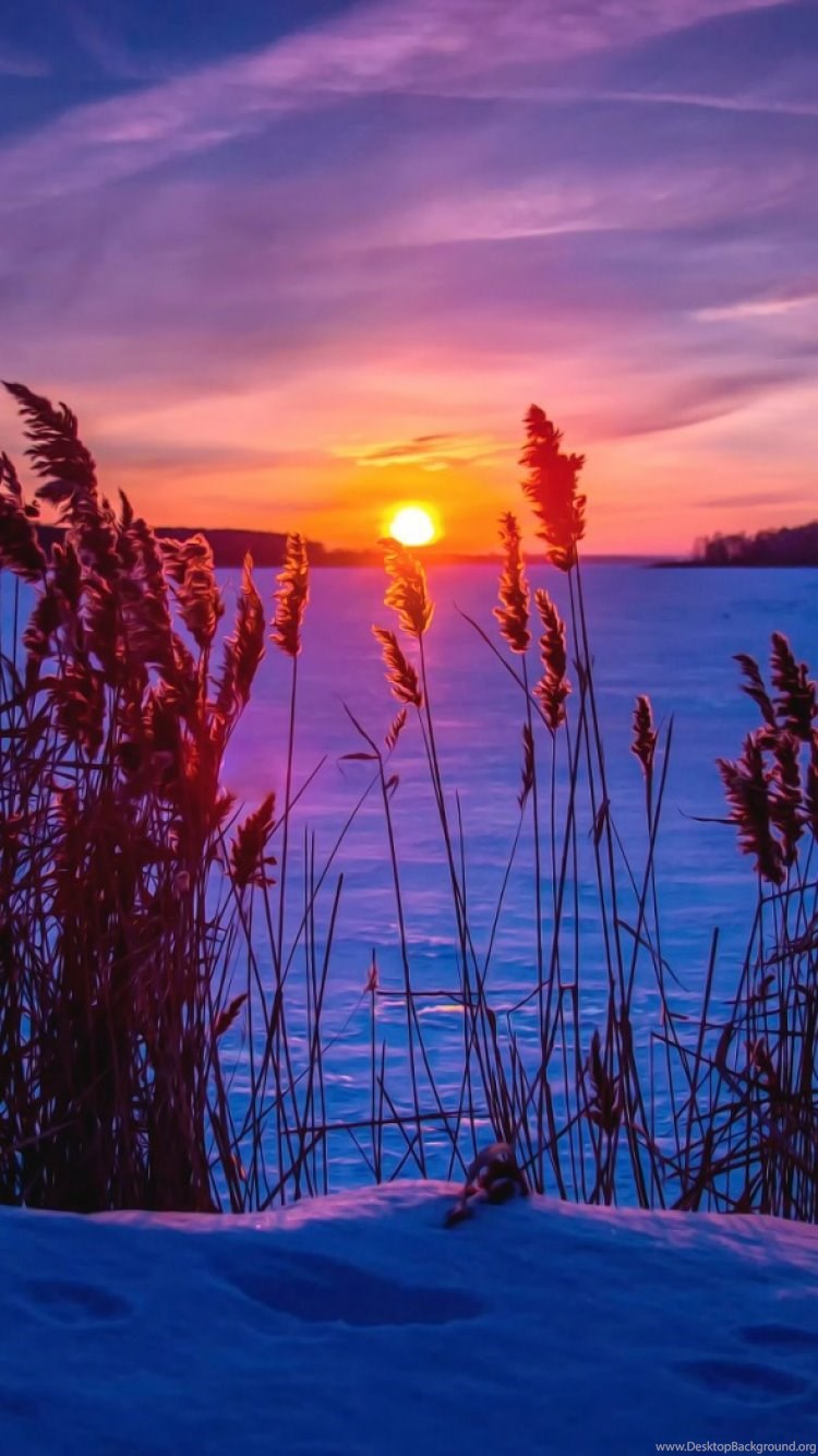 Winter Sunset Wallpaper Iphone , HD Wallpaper & Backgrounds