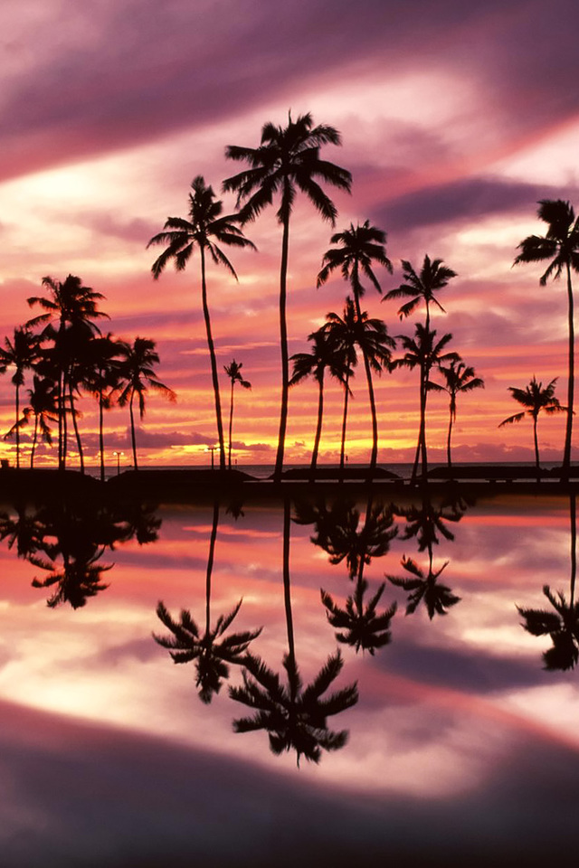 Iphone 5 - Honolulu Sunset , HD Wallpaper & Backgrounds