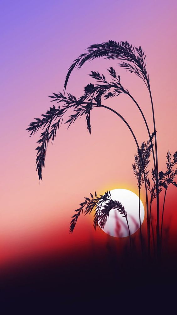Beautiful Sunset Iphone Wallpaper - Sunrise Wallpaper For Iphone Hd , HD Wallpaper & Backgrounds