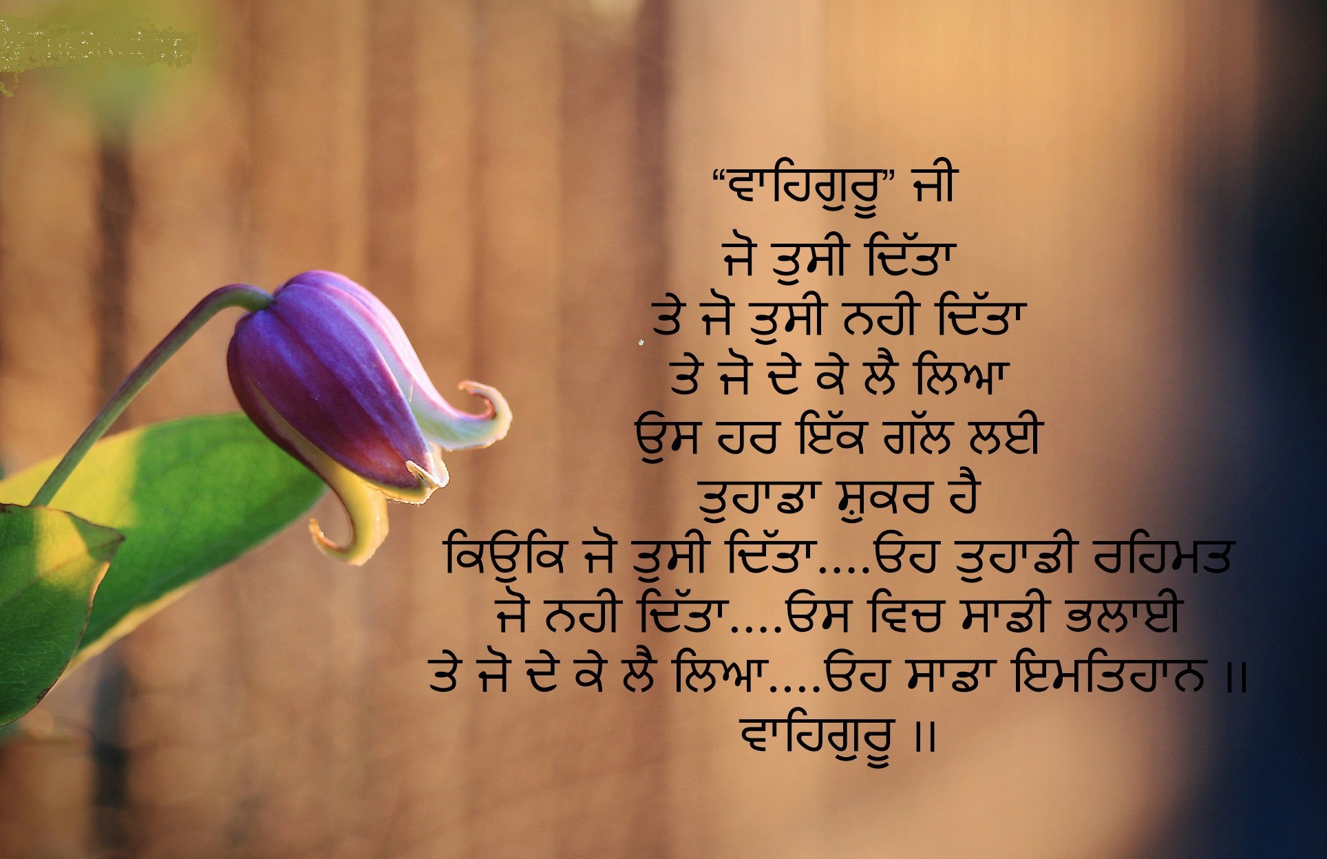 Punjabi Whatsapp Dp Images Source - Whatsapp Attitude Status In Punjabi , HD Wallpaper & Backgrounds