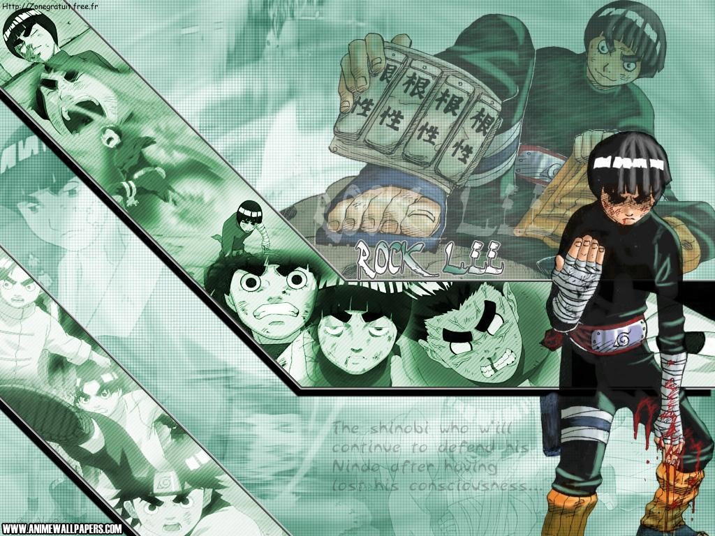 1024 X 768 - Rock Lee , HD Wallpaper & Backgrounds