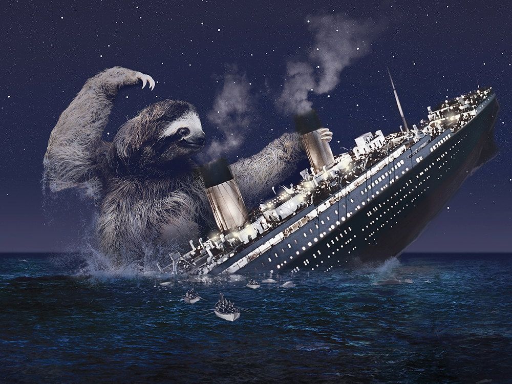 Titanic Image Cnmuqi - Sloth Titanic , HD Wallpaper & Backgrounds