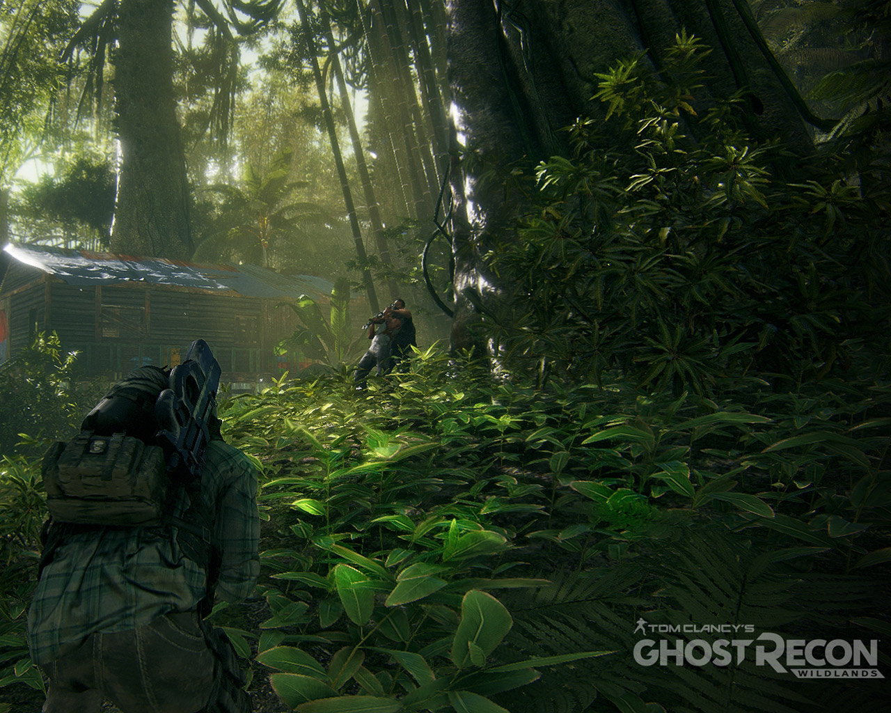 Ghost Recon Wildland Jungle , HD Wallpaper & Backgrounds