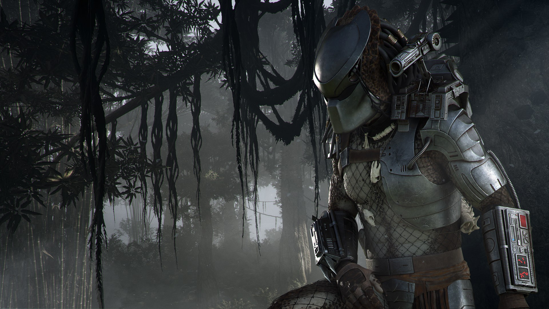 Hunt The Predator In New Ghost Recon Wildlands Challenge - Ghost Recon Wildlands Predator , HD Wallpaper & Backgrounds