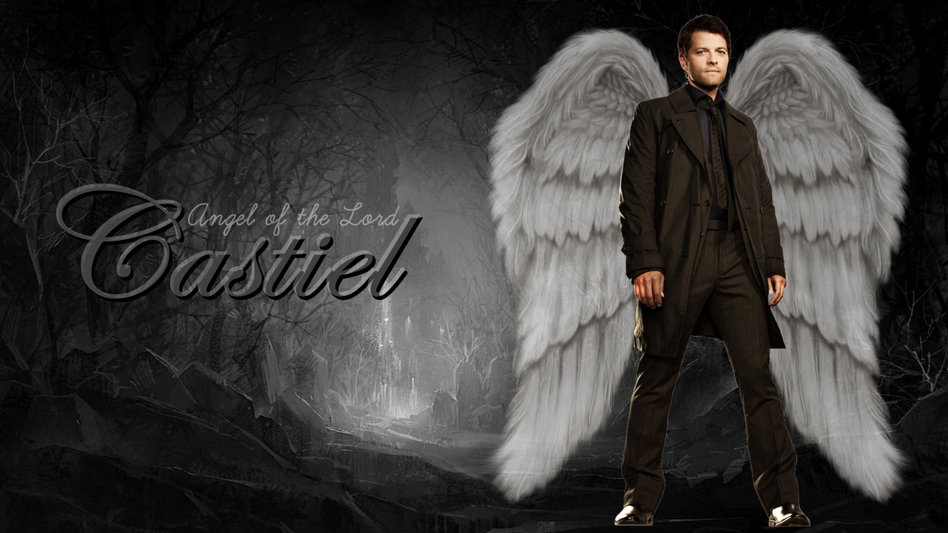 Castiel Supernatural Iphone Backgrounds - Angel Wings Transparent Png , HD Wallpaper & Backgrounds