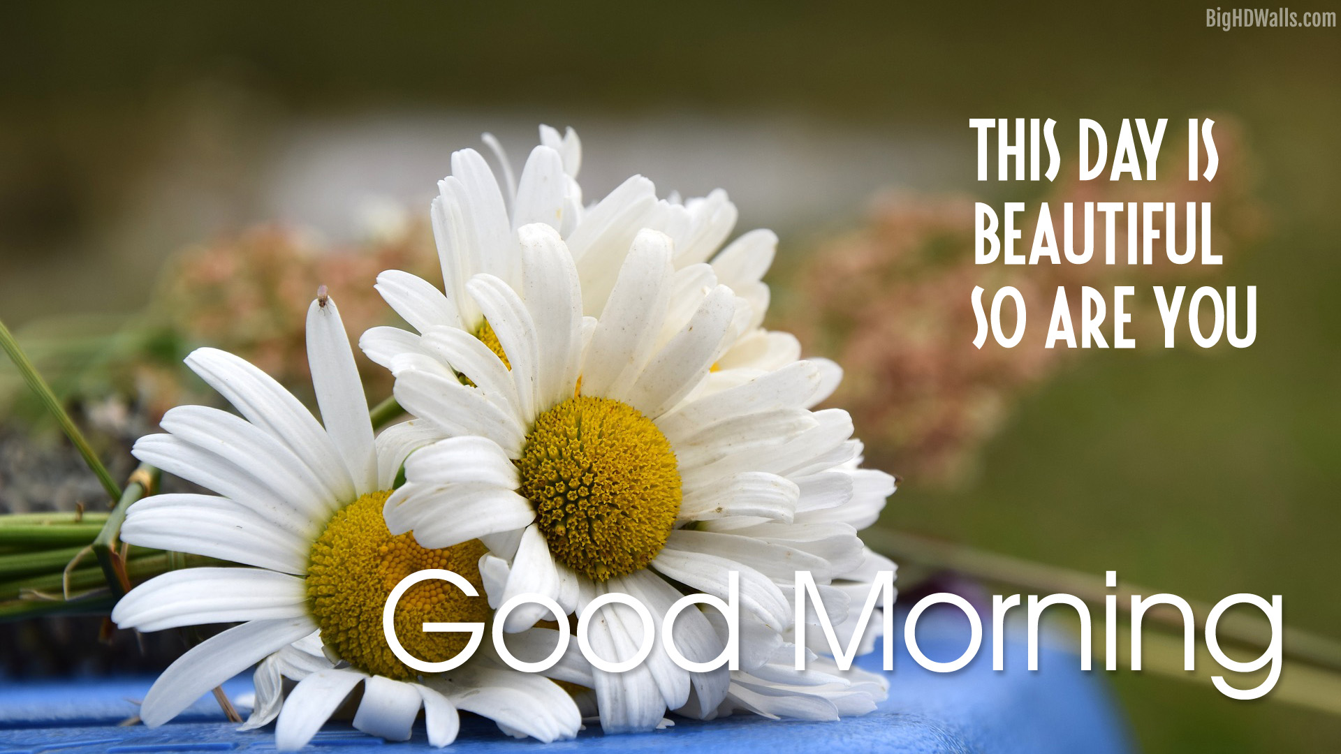 Click On The Images To Enlarge And Download - Beautiful Good Morning Images Hd , HD Wallpaper & Backgrounds