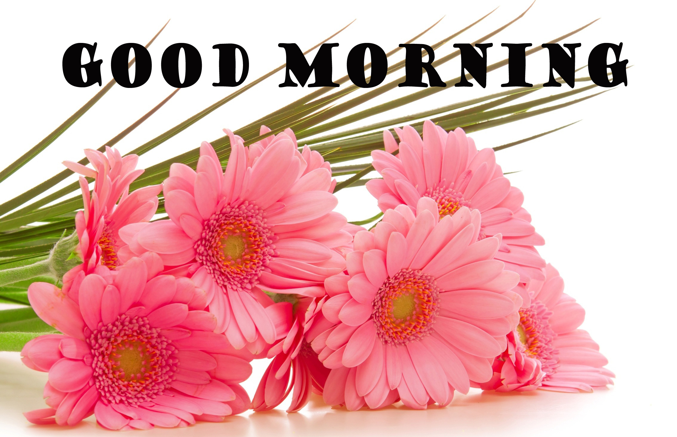 Good Morning Flowers Wallpaper Pictures Images For - Beautiful Flowers Bouquet Hd , HD Wallpaper & Backgrounds