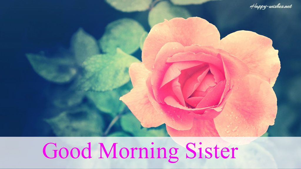 Good Morning Sister Flower Background Images Good Morning - Good Morning Pics For My Lovely Sister , HD Wallpaper & Backgrounds