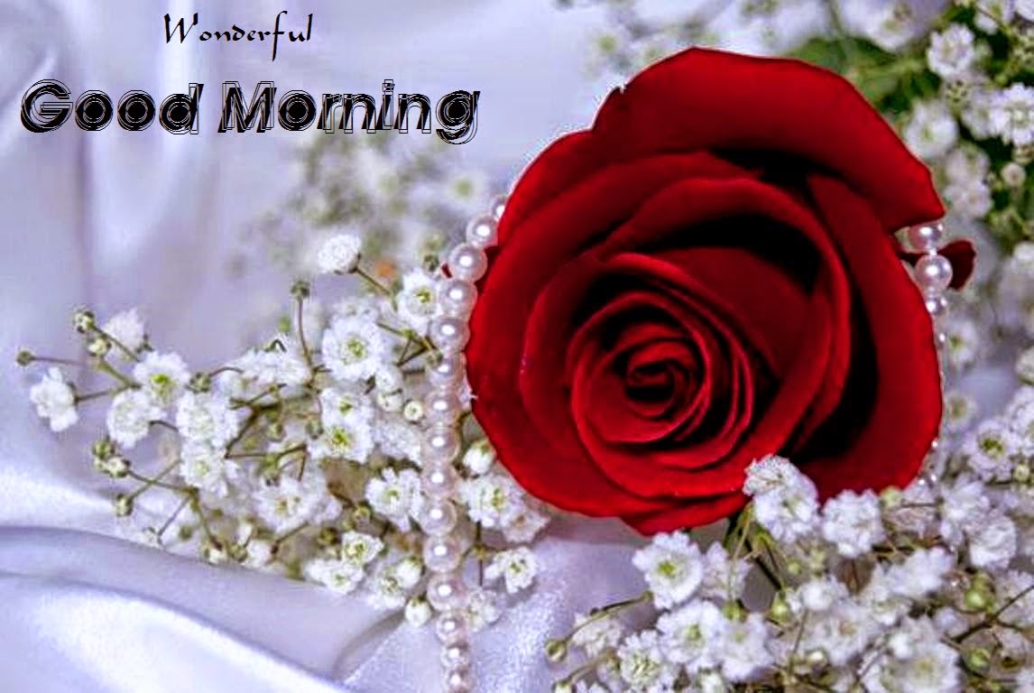 Good Morning Ke New Wallpaper - Rose Good Morning Images Hd , HD Wallpaper & Backgrounds
