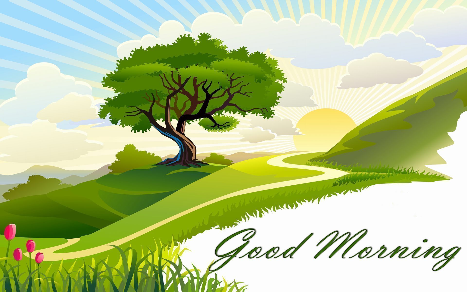 Morning Sun Good Morning Full Screen Wallpaper - Nature Good Morning Image Hd , HD Wallpaper & Backgrounds