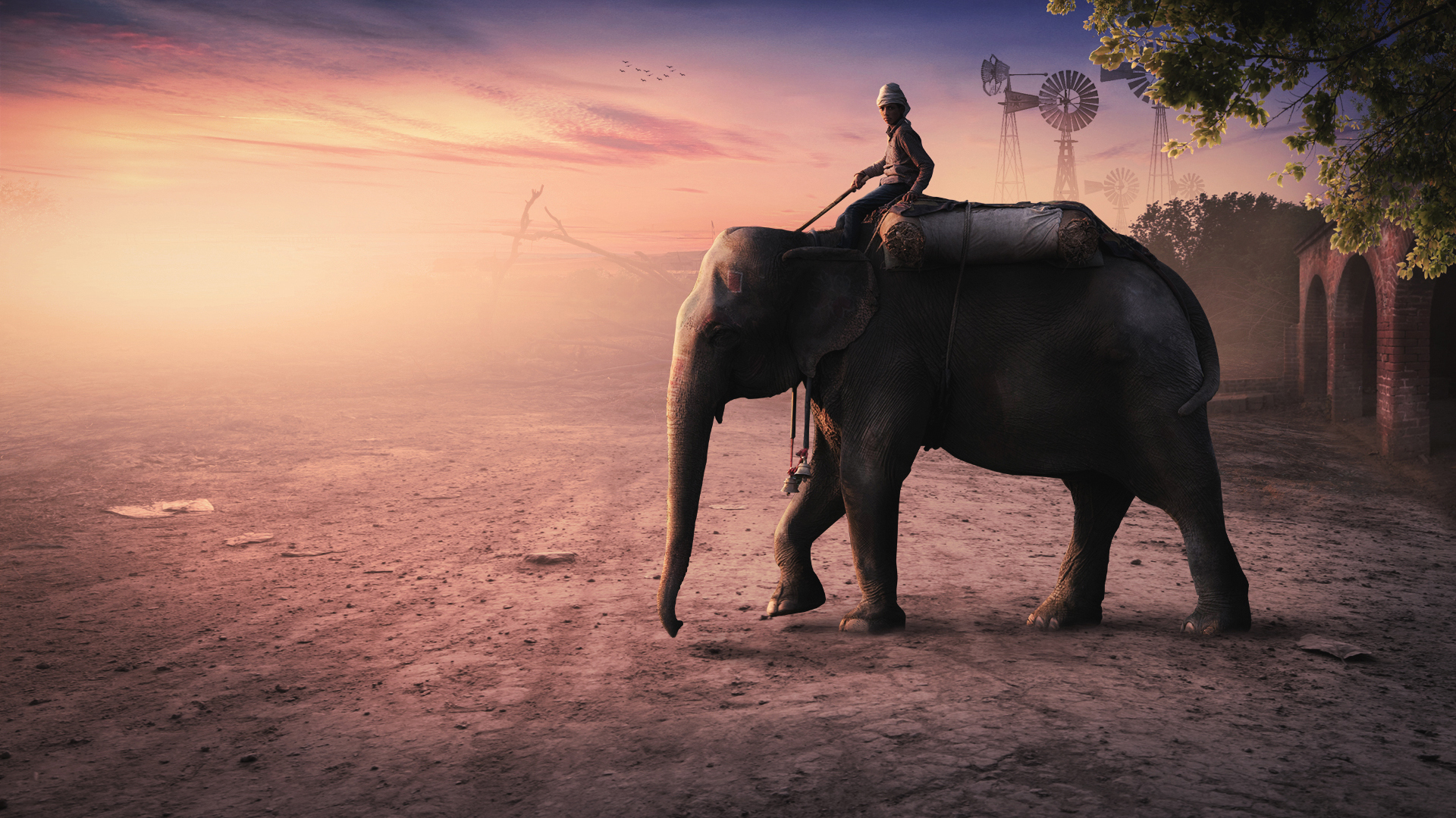 Elephant Man - Wallpaper , HD Wallpaper & Backgrounds