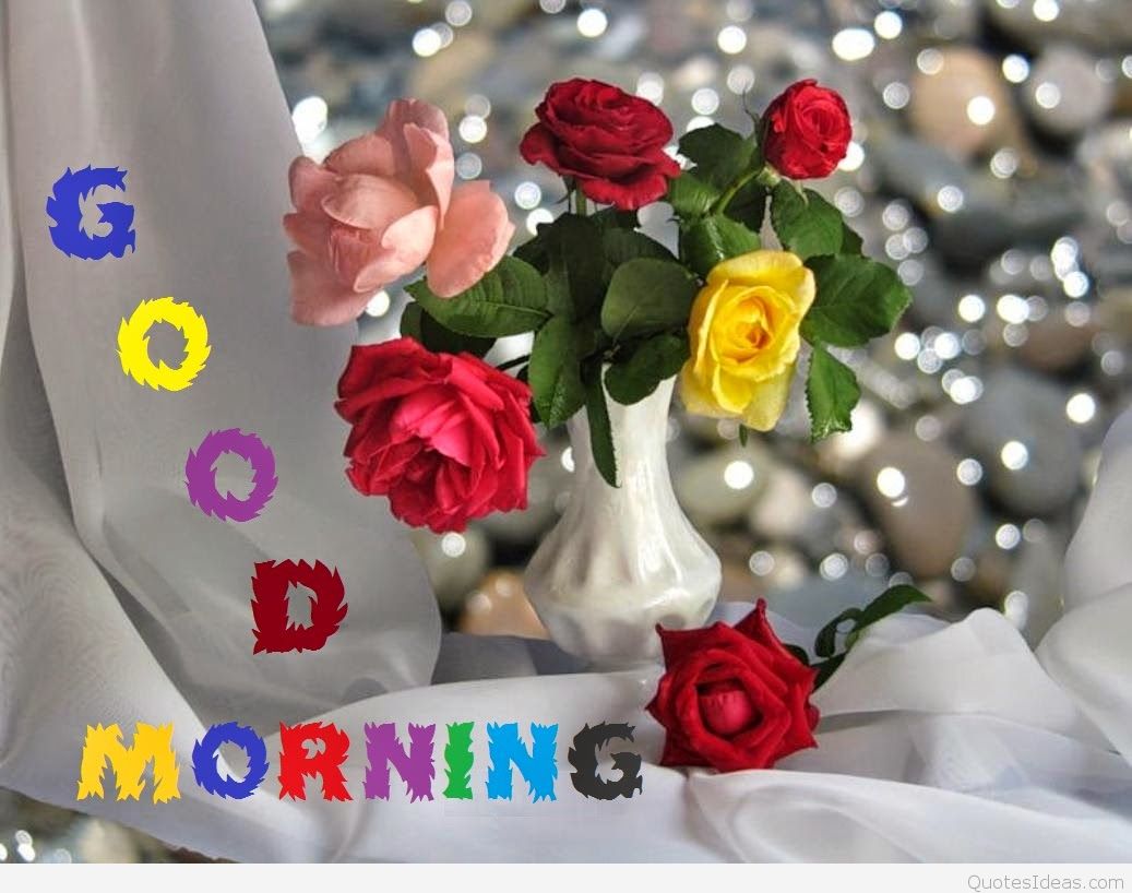 Good Morning Roses Background Hd - Good Morning Rose Image Hd , HD Wallpaper & Backgrounds