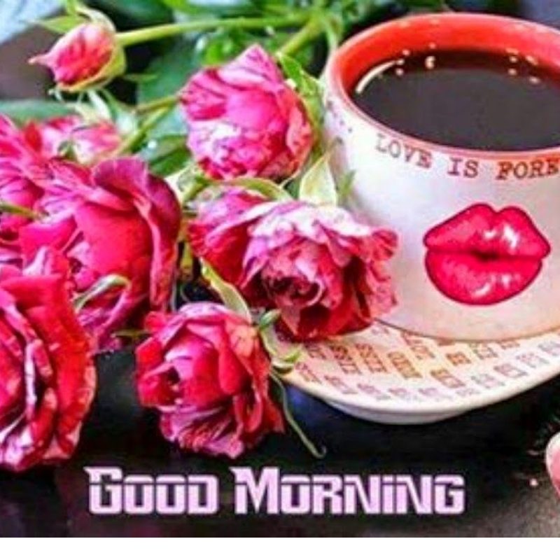 10 Most Popular Good Morning Friends Wallpaper Full - Good Morning Ke Photo And Video , HD Wallpaper & Backgrounds