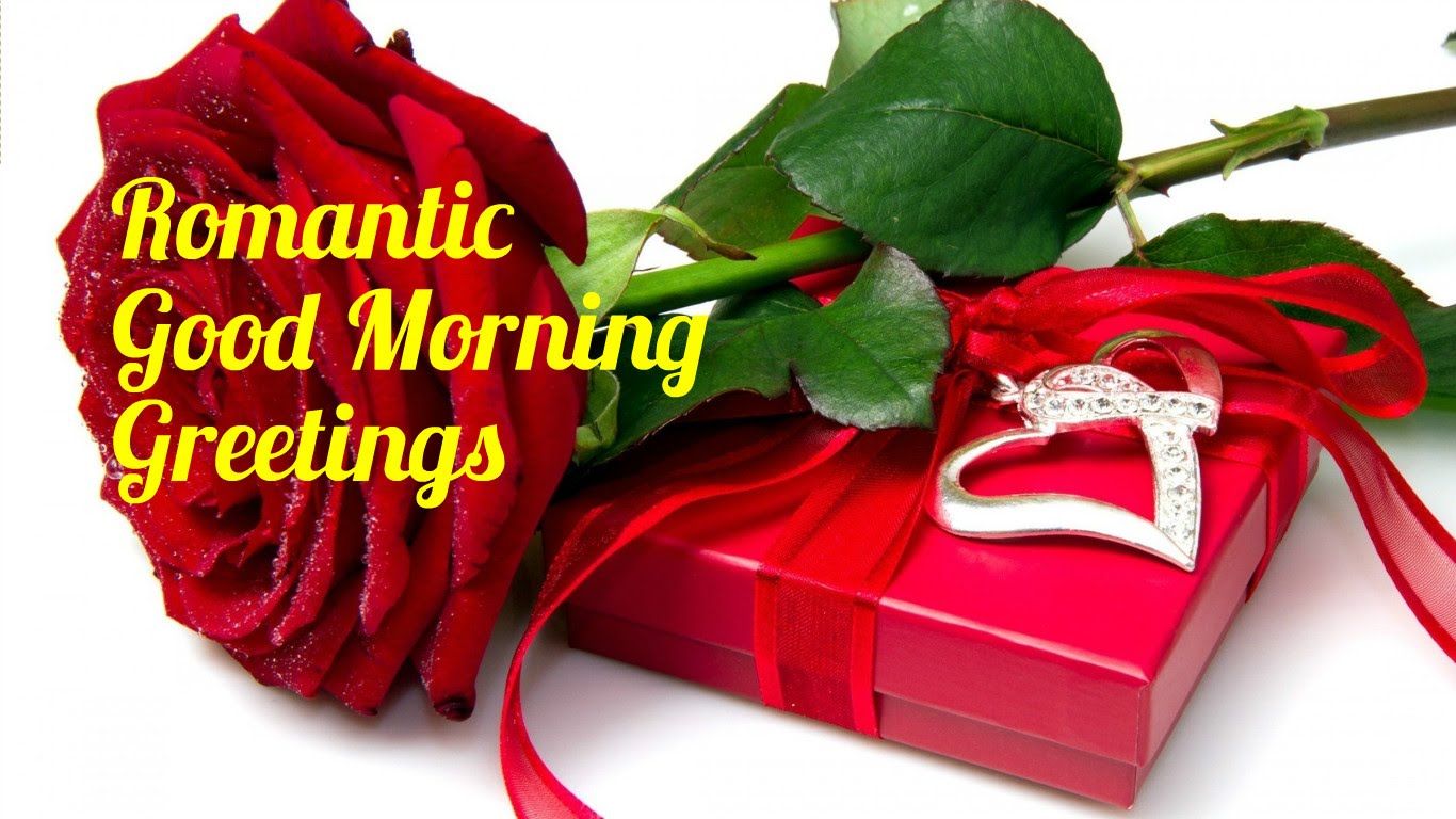 Romantic Good Morning Wallpaper Hd - Good Morning Rose Flower , HD Wallpaper & Backgrounds