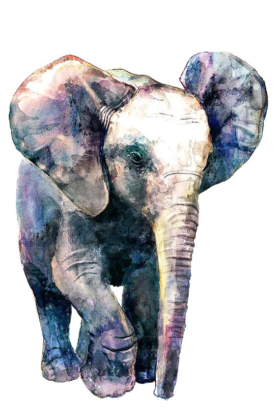 Elephant Wallpaper Hd 1080p - Elephant Phone Wallpaper Hd , HD Wallpaper & Backgrounds