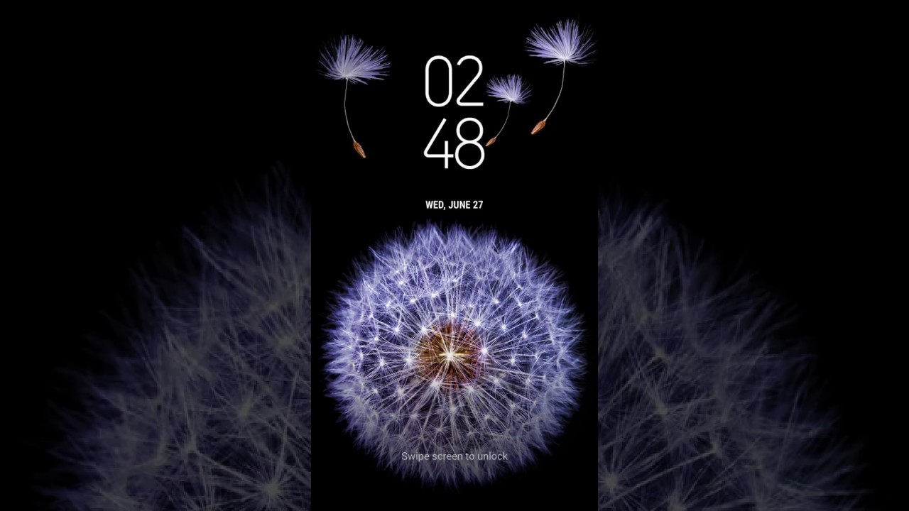 [samsung Themes-animated Wallpaper] Galaxy Dandelion - Dandelion , HD Wallpaper & Backgrounds