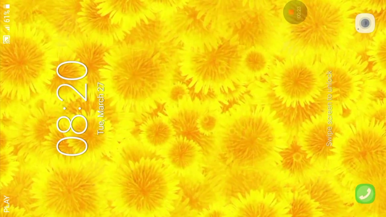 Dandelion Live Wallpaper - Chrysanths , HD Wallpaper & Backgrounds