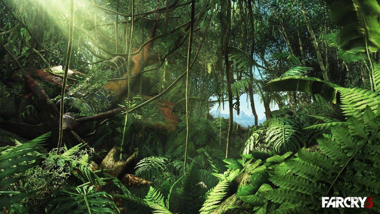 Timeline - Far Cry 3 Jungle , HD Wallpaper & Backgrounds
