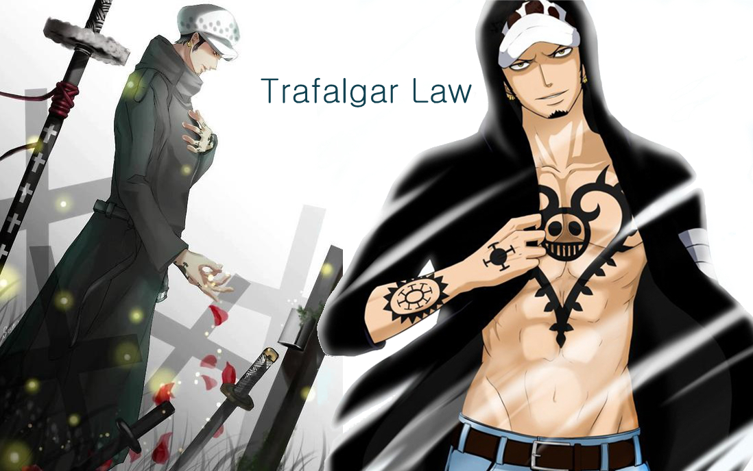 Kaeru カエル • 'one Piece' Trafalgar Law Wallpaper Hd , HD Wallpaper & Backgrounds