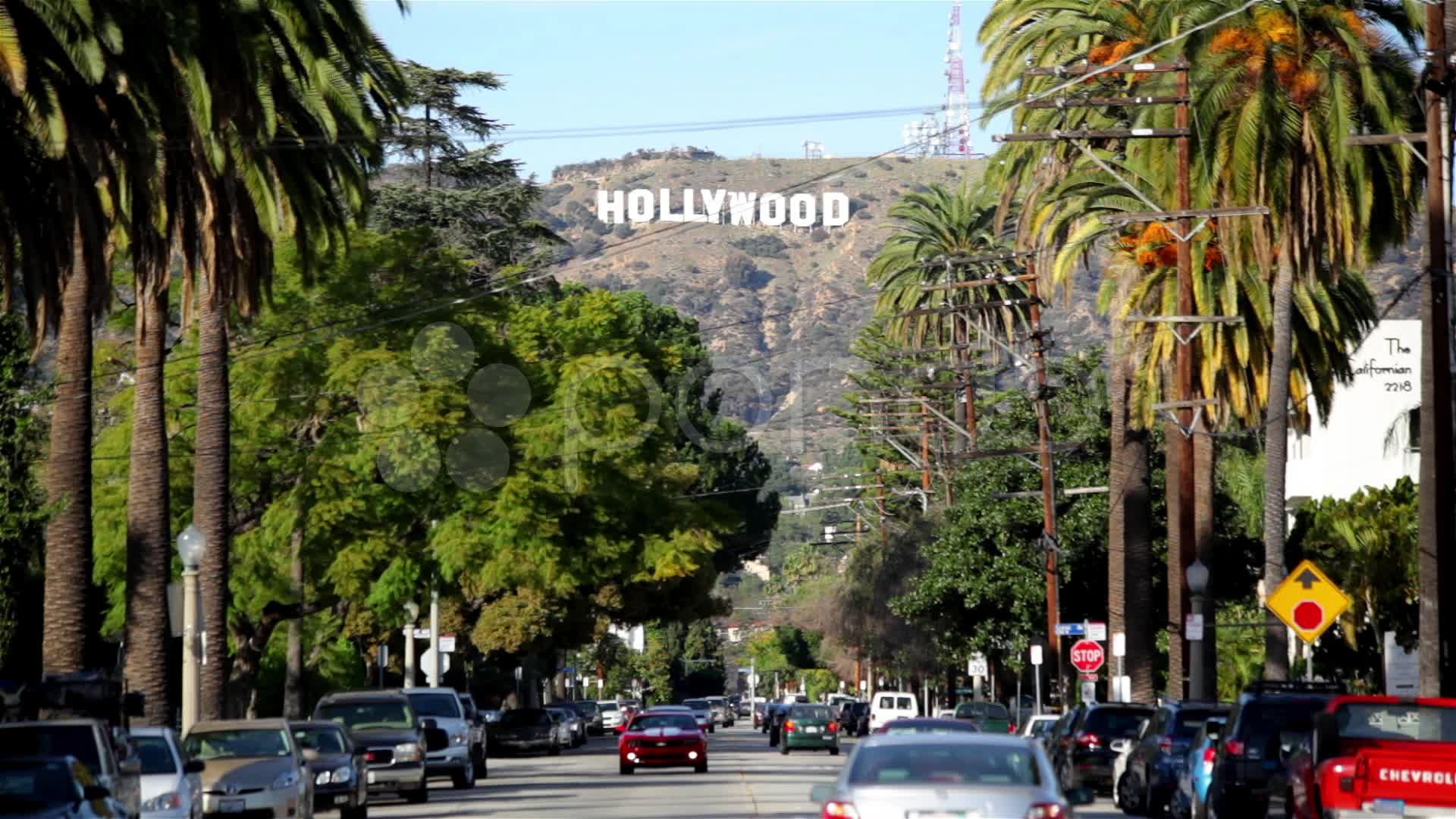 Hollywood Wallpaper For Walls Hollywood Hills Wallpaper - Hollywood , HD Wallpaper & Backgrounds