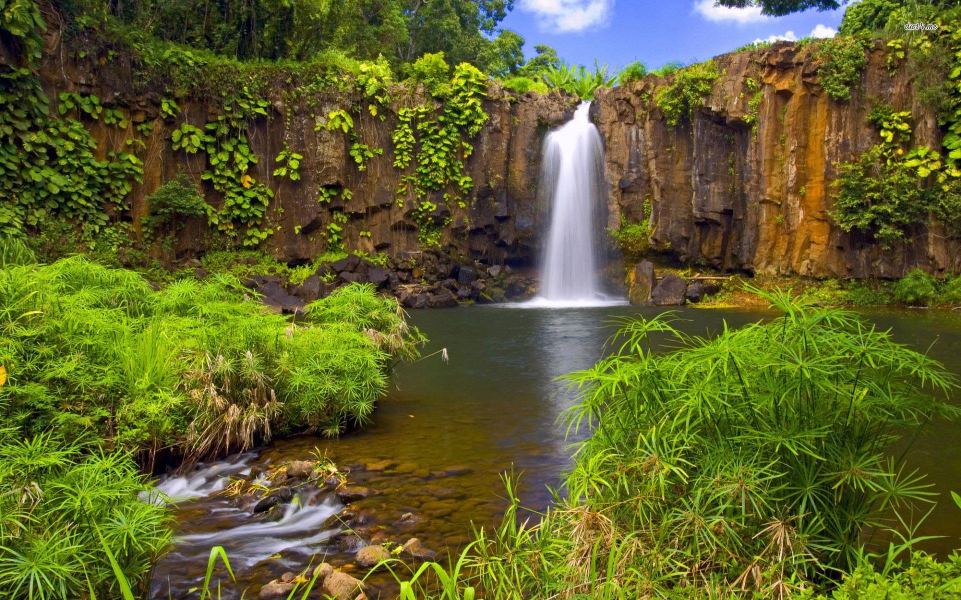 Jungle Waterfall , HD Wallpaper & Backgrounds