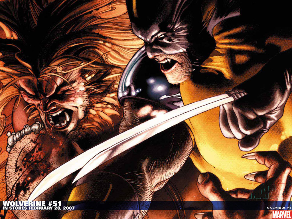 Wolverine - Wolverine Vs Sabretooth , HD Wallpaper & Backgrounds