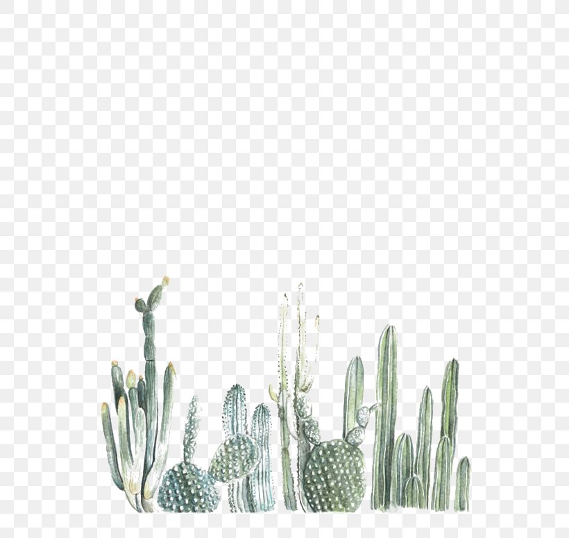 Cactaceae Cacti & Succulents Desktop Wallpaper Succulent - Cactus Png , HD Wallpaper & Backgrounds
