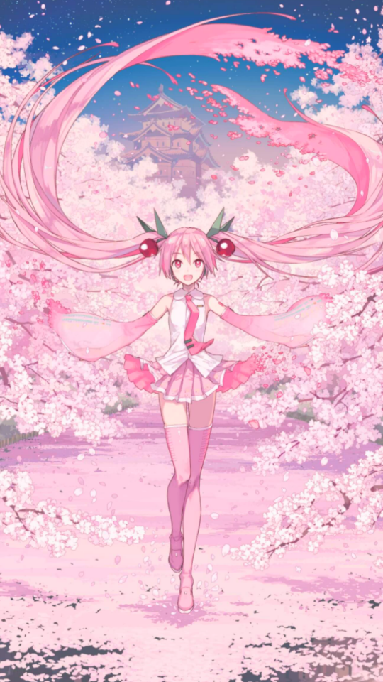 Anime Sakura Miku Art , HD Wallpaper & Backgrounds
