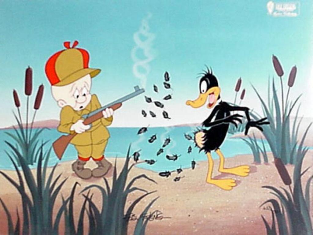 Oops, Sorry Daffy - Duck Hunting Looney Tunes , HD Wallpaper & Backgrounds