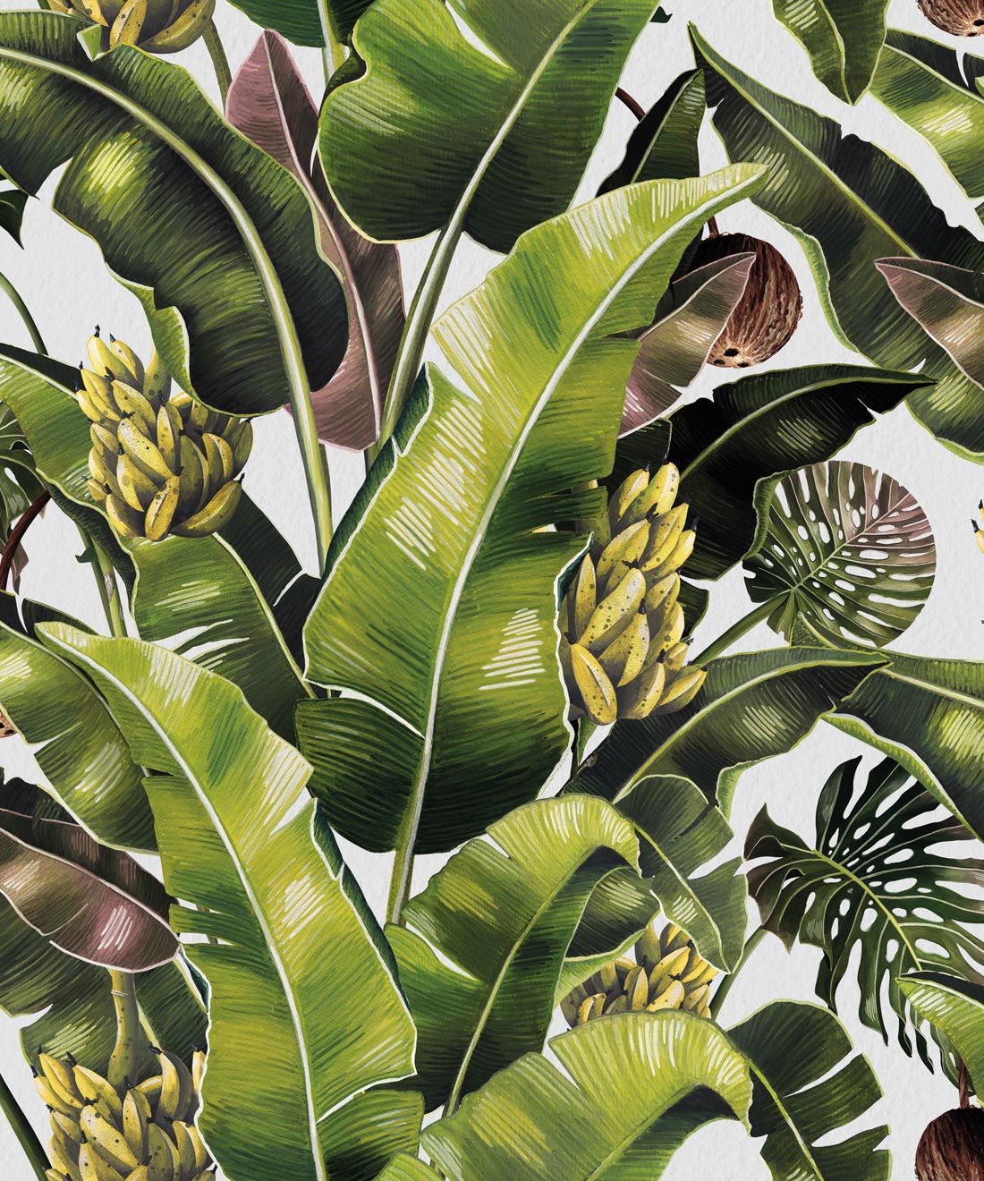 Banana Leaf , HD Wallpaper & Backgrounds