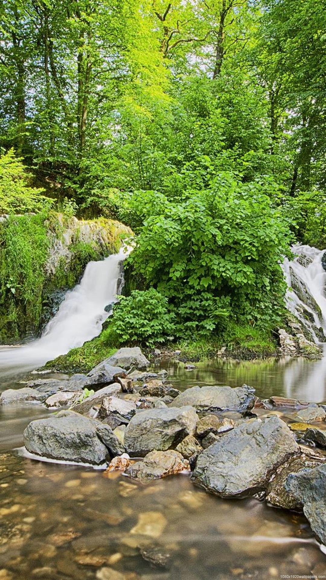 Tree Green Waterfall Nature Forest Wallpapers Hd - Nature Wallpaper Hd For Mobile , HD Wallpaper & Backgrounds