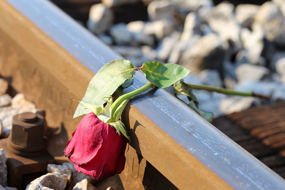 Sad Red Rose On Rail, Lost Love, Loving Memory, Tragedy, - Deep Love Quotes Text , HD Wallpaper & Backgrounds