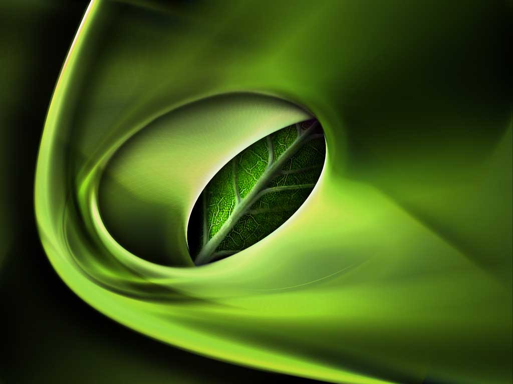 3d Green Slide Nature Backgrounds - Nature Background Slide Powerpoint , HD Wallpaper & Backgrounds