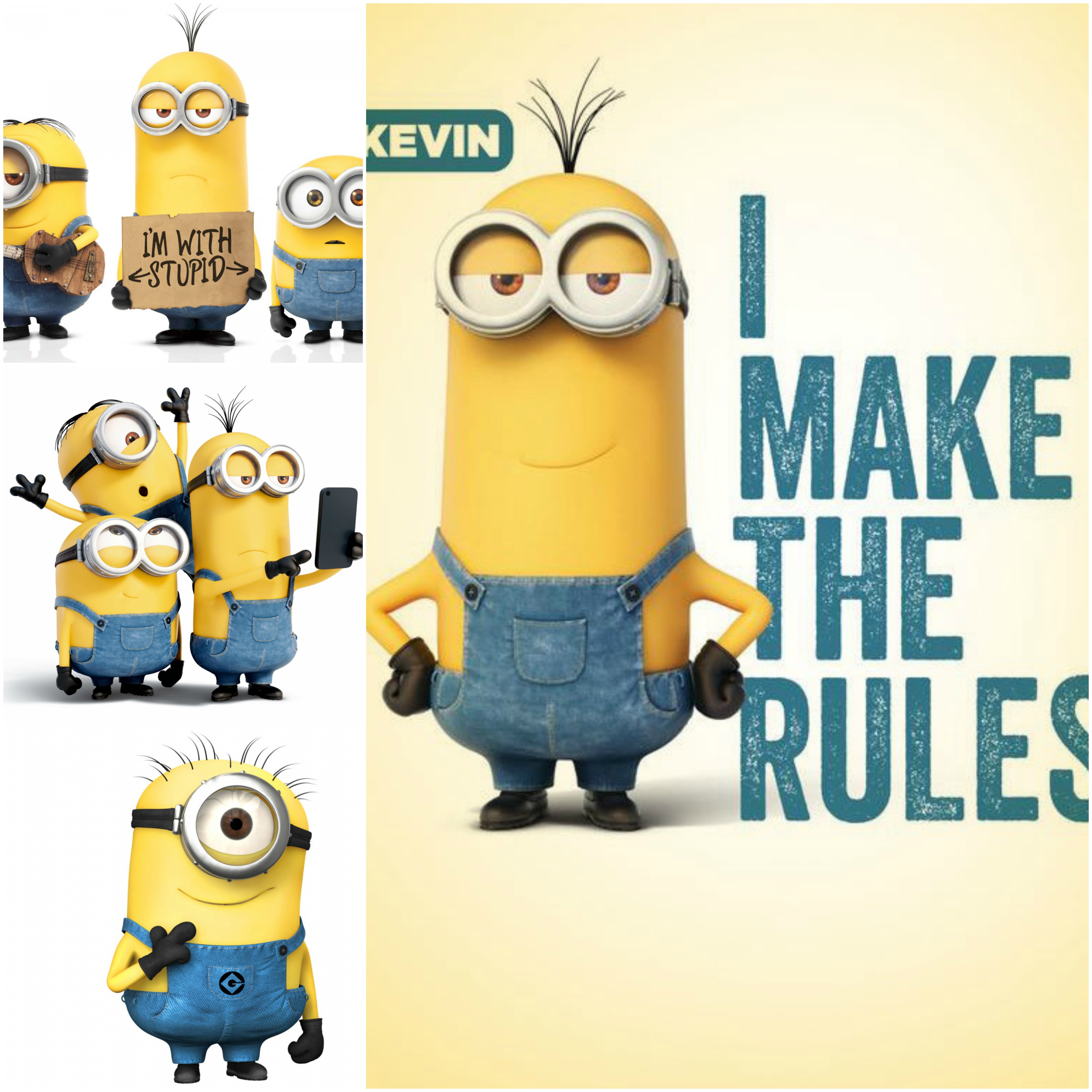 Make The Rules Minion , HD Wallpaper & Backgrounds