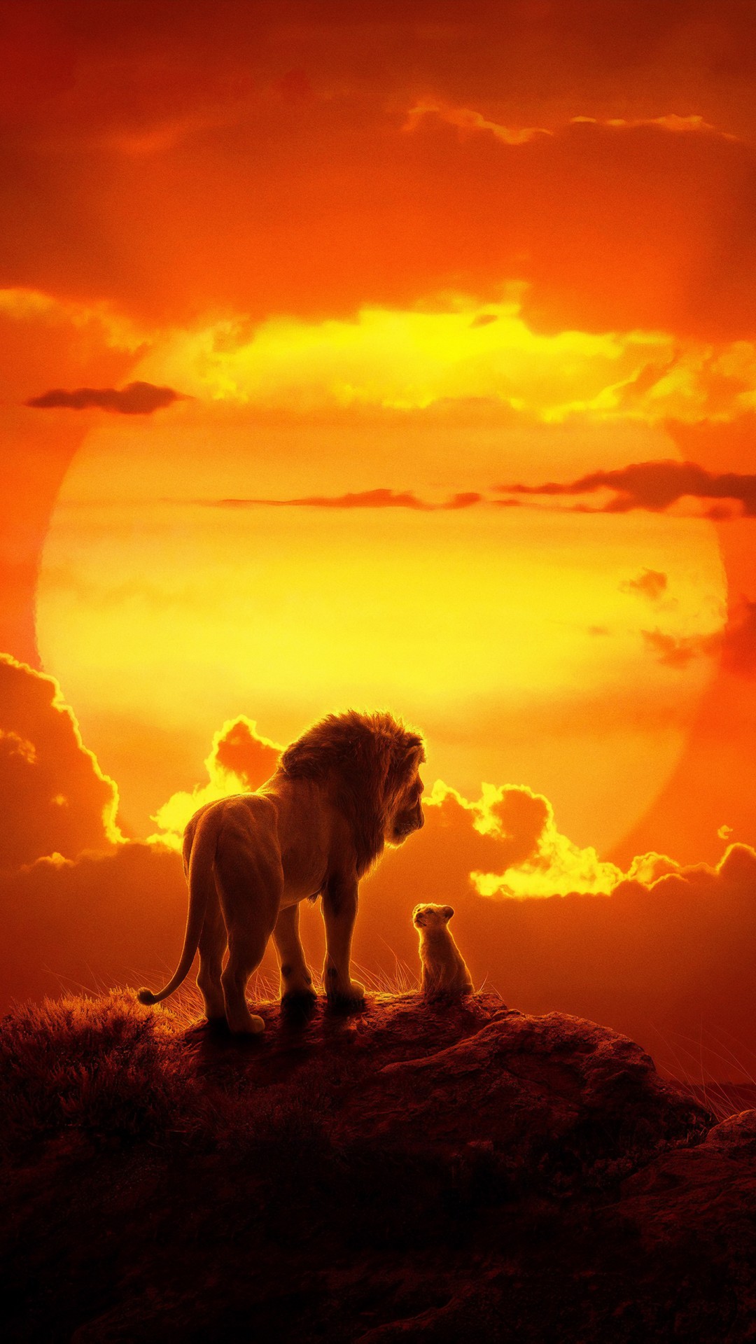The Lion King - Lion King , HD Wallpaper & Backgrounds